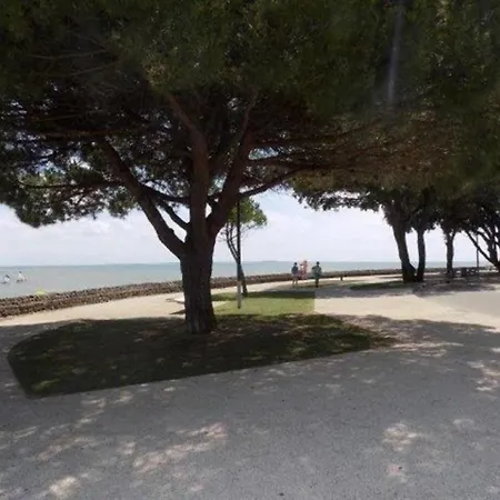Appartement Palais Sur Mer - Joli Nid Douillet Au Coeur De La Station - Studio - Tout A Pied - Plage Du Bureau *